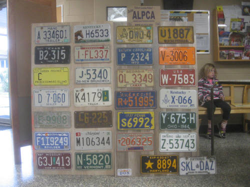 [Assorted license plate run]